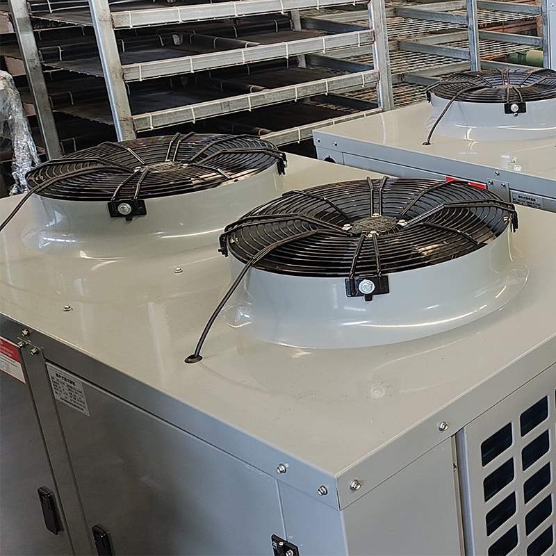 Cold Room Storage air Condenser Double