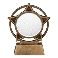Trofeo de Voleibol de Resina Personalizado WeiVista, Premio Grabado al por Mayor para Torneos Escolares