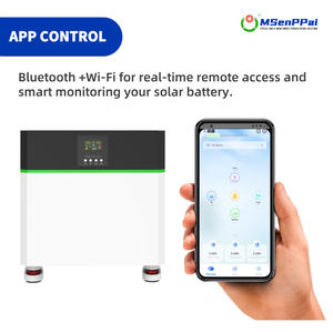 순수 사인파 인버터 파워 스테이션 1600W <span class=keywords><strong>3000W</strong></span> 출력 휴대용 MPPT 컨트롤러 8KWh 태양광 리튬 배터리 - Product Image 3