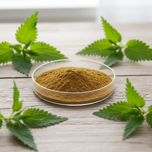 Extrait de Cohosh noir de qualité alimentaire <span class=keywords><strong>Wellgreen</strong></span> à bas prix, additif alimentaire pour plantes, extrait en poudre par extraction par solvant, plante entière sous vide - Product Image 5