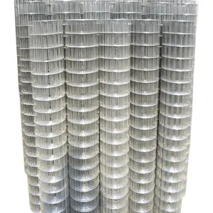 Factory Hot sale high-quality wholesale 2x2 inch mesh galvanized welded wire mesh for fence from Anping