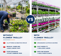 Chariot de transport de fleurs pour serre, chariot à plantes galvanisé avec 4 étagères en treillis métallique amovibles pour pépinière et jardin