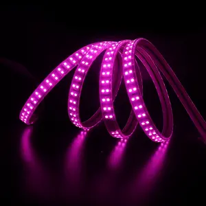 10Mm Rgbw La Lumiere De Bande Guidee Waterdichte Kleur Veranderende Dc24v Dimbare 5M Strip Led Licht