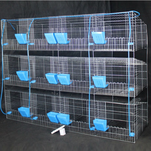 Équipement d'élevage avicole Cage à lapins en métal industrielle Facile à nettoyer Commerciale Durable Antirouille Cage à lapins d'élevage pour animaux de compagnie - Product Image 5