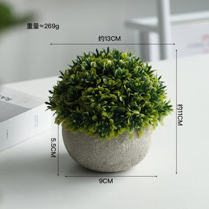 พุ่มไม้ยูคาลิปตัสโรสแมรี่กระถางทรงกระบอกเป็นมิตรกับสิ่งแวด<span class=keywords><strong>ล</strong></span>้อมในบ้านในร่มทนทาน - Product Image 6