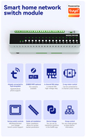Contrôleur intelligent pour maison connectée Tuya Smart Life App compatible 16 canaux, design barre de garage, compatible Alexa, Wi-Fi, Zigbee, relais 50A/16A
