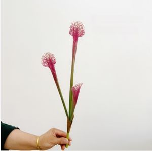 Nouveaux Arrivages Bouteille Artificielle Herbe Pichet <span class=keywords><strong>Plante</strong></span> <span class=keywords><strong>Venus</strong></span> Flytrap <span class=keywords><strong>Fleur</strong></span> Artificielle pour Mariage Noël Halloween Floral - Product Image 4