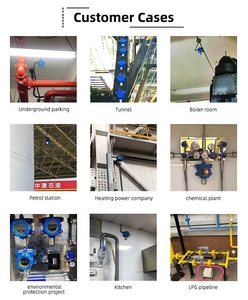 Взрывозащищенный 4-20mA <span class=keywords><strong>CH4</strong></span> LPG LEL детектор газа датчик горючего газа - Product Image 6