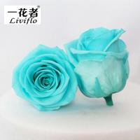 Cina Pabrik Pasokan Grosir 5-6Cm Abadi Kepala Bunga Diawetkan Rose