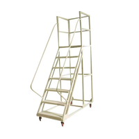 Échelle mobile multifonctionnelle avec plateforme de travail, passerelle industrielle, escalier en acier, design moderne pour usage en entrepôt