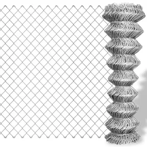 Zincir bağlantı çit galvanizli/PVC kaplı/çin tedarikçisi