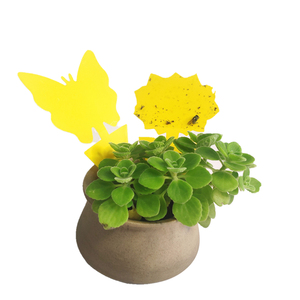 Trampas Adhesivas de Doble Cara para Insectos Voladores, Hormigas, Escarabajos y Garrapatas, para Uso en Interiores y Exteriores, Protección de Plantas para Jardines y Granjas - Product Image 4