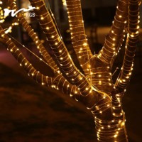 Lampu LED Strip Pintar 100m Tahan Air IP66 Lampu String Tenaga Surya Kontrol Jarak Jauh 3000K Putih Hangat Luar Ruangan PC
