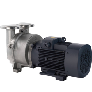 2BV Edelstahl Flüssigkeitsring-Luft-/Wasserring-Vakuumpumpe für Industrielle Anwendungen mit Anpassbarer Unterstützung - Product Image 1