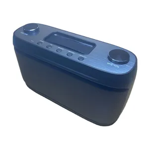 Altavoz de Karaoke Bluetooth portátil para fiestas en casa y al aire libre Boombox de mango oculto