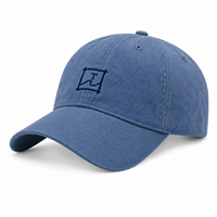 Programme promotionnel de vente au détail, articles de marque, streetwear en pur coton, casquettes de skate, usine OEM, vente en gros, casquettes de papa, broderie personnalisée du logo