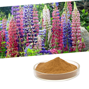 Pure Lupinus Albus Seed <b>Extract</b> CAS 545-47-1 Food Grade Crataeva Nurvala <b>Extract</b> 0.2% Lupeol - Product Image 2