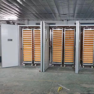 Incubateur automatique à œufs de poulet de capacité moyenne Baojieyuan Produit industriel - Product Image 1