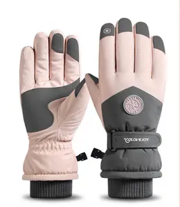 Hot Sale Winter Waterproof Touch Screen Ski Glove For Man and Woman