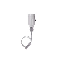Transmetteur de niveau radar à ondes guidées RKS ARLT30 haute température, précision 3 mm, IP65, sortie 4-20 mA/HART, portée 30 m, pour liquides/solides