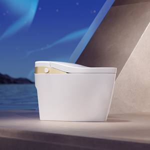 WC Smart Dorato di Ultima Generazione, Monoblocco con Scarico Automatico, Serbatoio Integrato, Montaggio a Pavimento, Ceramica per Bagno, Telecomando, Scarico a P - Product Image 3