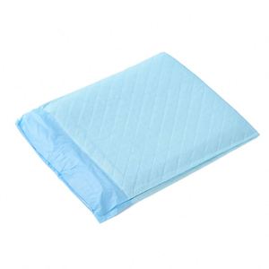 Tapis absorbants jetables pour animaux de compagnie, anti-fuites, séchage rapide, pour l'apprentissage de la propreté et les couches - Product Image 1