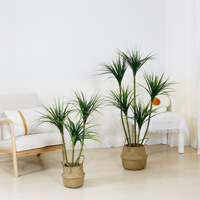 Plante artificielle de style nordique à tige fine, type Dragon Blood Green, en plastique+PE, 140-210 cm, longue durée, pour la décoration intérieure de la maison et des hôtels