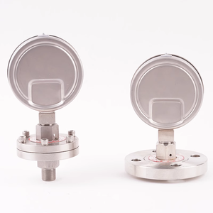Manómetro de Diafragma con Brida Roscada Tipo DN25 DN50 de Acero Inoxidable con Absorción de Impactos 100-149 PSI - Product Image 4