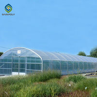 Sainpoly Low cost tunnel serre dôme pe Agriculture serre film à vendre