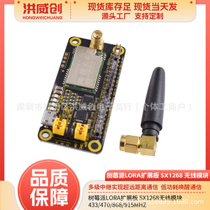 Carte d'extension LoRa pour Raspberry Pi, module sans fil SX1268 433/470/868/915MHz pour Raspberry Pi - Product Image 5