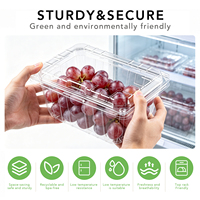 Boîtes d'emballage en PET transparent perforées pour fruits frais (tomates, cerises, raisins) – Contenants en plastique pour fruits en coquille
