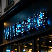 Enseigne Lumineuse LED Personnalisée pour Entreprise, Lettres Lumineuses 3D LED pour Extérieur, Logo de Restaurant pour Entreprise