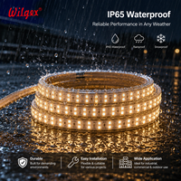 Bande LED double rangée IP65 étanche à la pluie 40m 7x17mm 180 LED/m Fil doré pur découpable 100cm 110V Garantie 5 ans