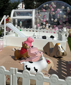 Globalltoy <span class=keywords><strong>M</strong></span> boyutu beyaz yürümeye başlayan açık oyun alanı slayt çocuk topu çukur için - Product Image 5