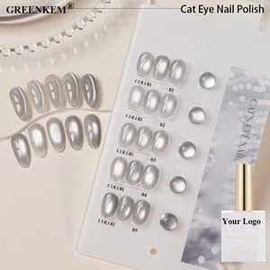 Ensemble 5 pièces de vernis à ongles gel UV série <span class=keywords><strong>argent</strong></span>ée de 15ml pour toutes les saisons vernis à ongles gel œil de chat vente en gros étincelant et durable - Product Image 1