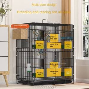 Papağan Metal kuş kafesi çok katmanlı eğimli lüks tasarı<span class=keywords><strong>m</strong></span> katı desen plastik tepsi ambalaj ev ve dış mekan kullanı<span class=keywords><strong>m</strong></span>ı - Product Image 5