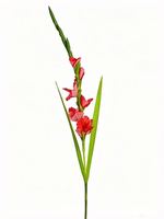 Arrangement de fleurs artificielles Gladiolus pour la vente en gros, décoration d'entrée pour mariage, hôtel, restaurant, café, fleurs artificielles