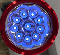 Lampe torche UV 310nm 300nm 305nm 315nm 308nm 311nm, lumière LED UV tactile