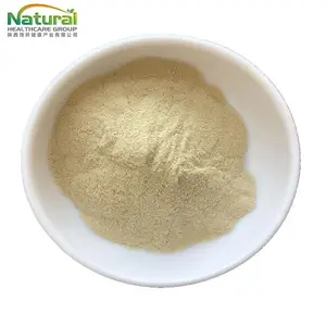 Organic Product HACCP Standard Water Souble Lemon Powder Food Grade Freeze Dried Lemon Juice Powder Lemon Fruit Powder Best Price