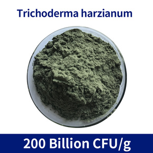 Poudre de Metarhizium Anisopliae, un biopesticide et insecticide biologique, catégorie fongicides - Product Image 2