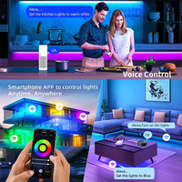 Contrôleur LED intelligent WiFi Tuya WT5 12V 24V RGBCCT RGB double blanc monochrome pour bandes lumineuses avec télécommande RF 2.4G et variateur