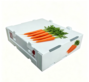 Cajas de Plástico Plegables Ecológicas para Empacar Vegetales y Huevos, Contenedor para Brócoli, Precio de Fábrica, <span class=keywords><strong>Caja</strong></span> de Brócoli España - Product Image 6