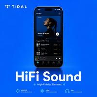 Abonnement Premium Tidal Music 12 mois, comptes Tidal, abonnement Tidal Hifi Plus 1 an