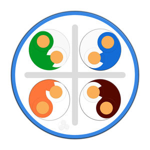 <span class=keywords><strong>Câble</strong></span> intérieur Cat6 UTP CCA le plus vendu, sans blindage 0.45mm 300m veste LSZH, adapté au <span class=keywords><strong>câble</strong></span> LAN GHT maison/bureau - Product Image 5