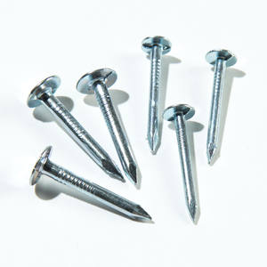 Pregos de Telhado de Feltro com Cabeça Extra Grande e Cabo Liso em Ferro Galvanizado - Product Image 2
