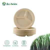 Assiette 9 assiette de canne à sucre biodégradable à 3 compartiments vaisselle Compostable