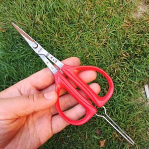 กรรไกรตัดแต่งกิ่งสแตนเลสสีแดง หัวตรง สำหรับตัดแต่งกิ่งองุ่น ผลไม้ และกิ่งไม้ - Product Image 4