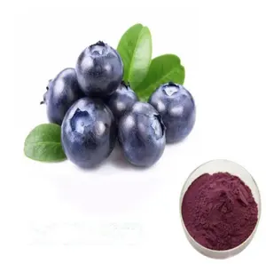 出厂价有机蓝莓干提取物/蓝莓果粉