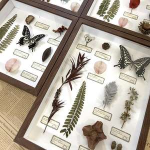 Véritable Papillon Plante Spécimen Peinture Décorative Style Littéraire Ins Fleurs Séchées Cadre En Bois Cadeau De Noël pour Salon - Product Image 4