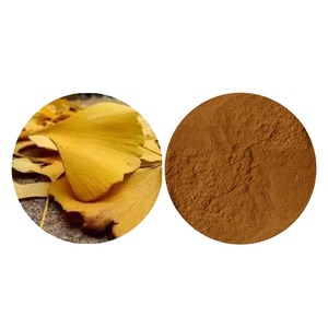 Qinshantang Etiqueta Privada orgánica <span class=keywords><strong>Ginkgo</strong></span> <span class=keywords><strong>Biloba</strong></span> 10:1 extracto en polvo suplementos de hierbas - Product Image 1